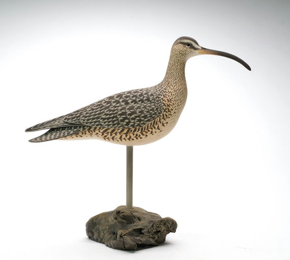 Oliver Lawson – Curlew – 2025