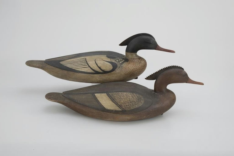 Mark McNair – Merganser Pair – 2026