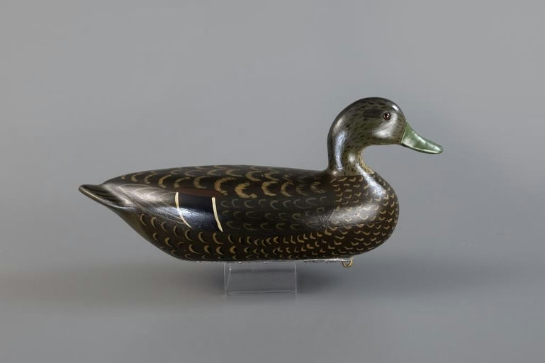 Charles Perdew – Rare Black Duck – 2025