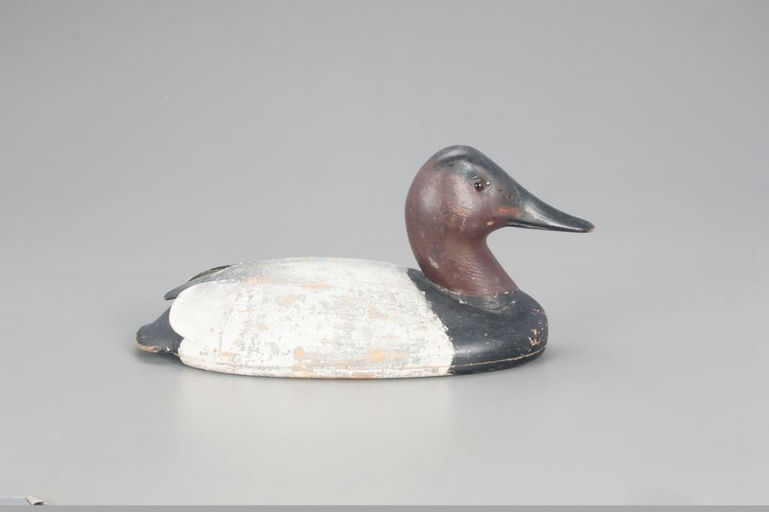 John C. Schweikart – Canvasback Drake – 2021