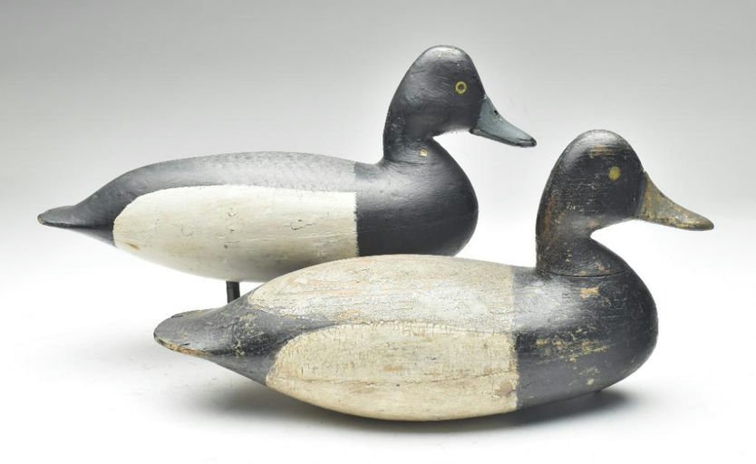 Harry V. Shourds – Scaup – 2023