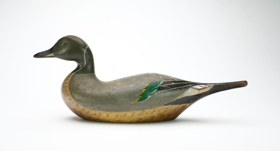 Charles Bergman – Pintail – 2025
