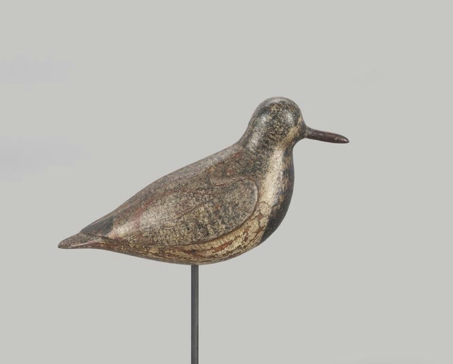 Verity Family – Black-Bellied Plover – 2022