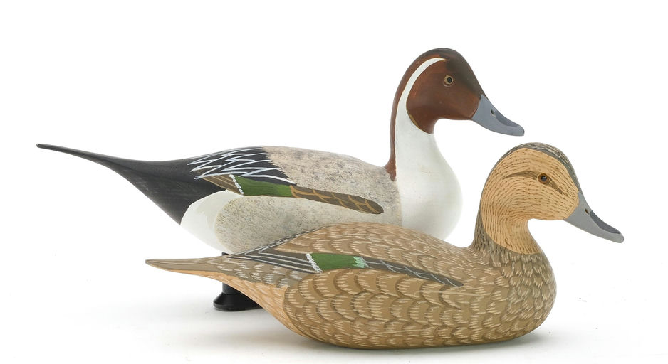 Harry V. Shourds – Pintail – 2024