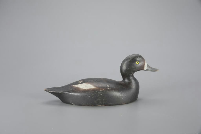 Augustus A. Rogers – Bluebill Hen – 2023