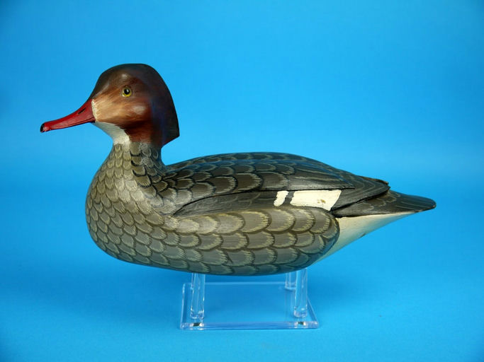Harry V. Shourds – Red-Breasted Merganser – 2026