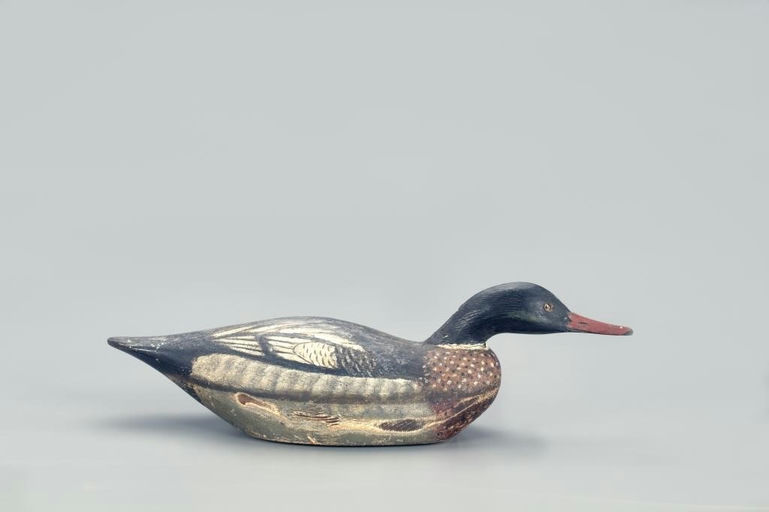 Elmer Crowell – Swimming Merganser – 2022