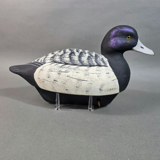 Scott Cronshaw – Scaup – 2026