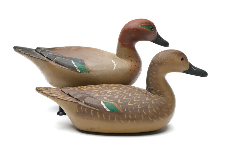Richard Janson — Pair of Green-winged Teal