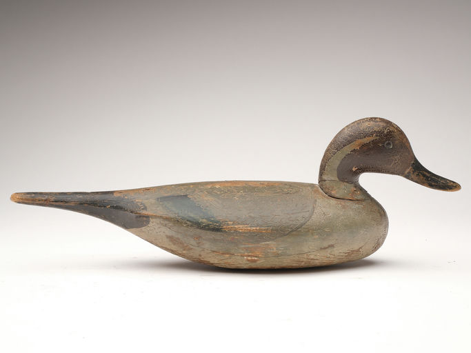 Ira Hudson – Pintail Drake – 2023