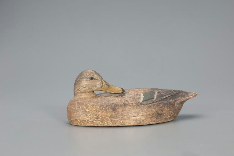 Ben Schmidt – Exceedingly Rare Preening Mallard Hen – 2021
