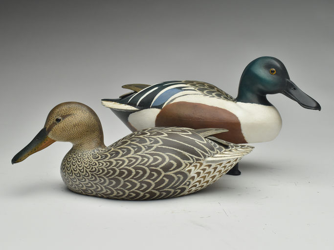 John McLoughlin – Shoveler – 2023