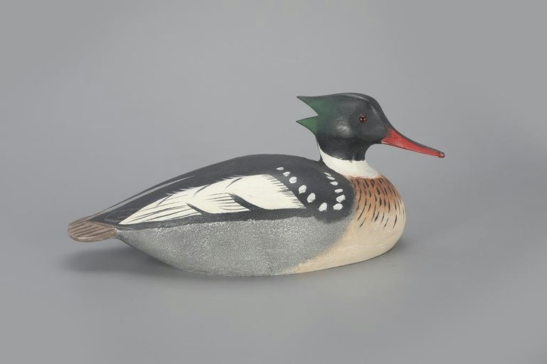 Ward Brothers – Merganser Drake – 2023
