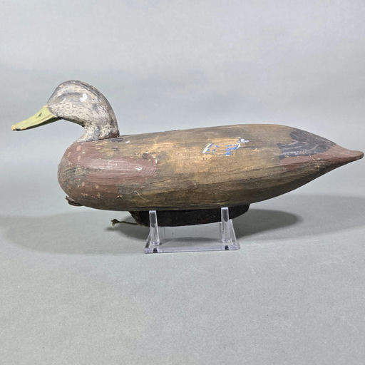 Doug Jester – Mallard – 2026