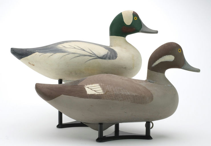 R. Madison Mitchell – Pair of Bufflehead – 2024