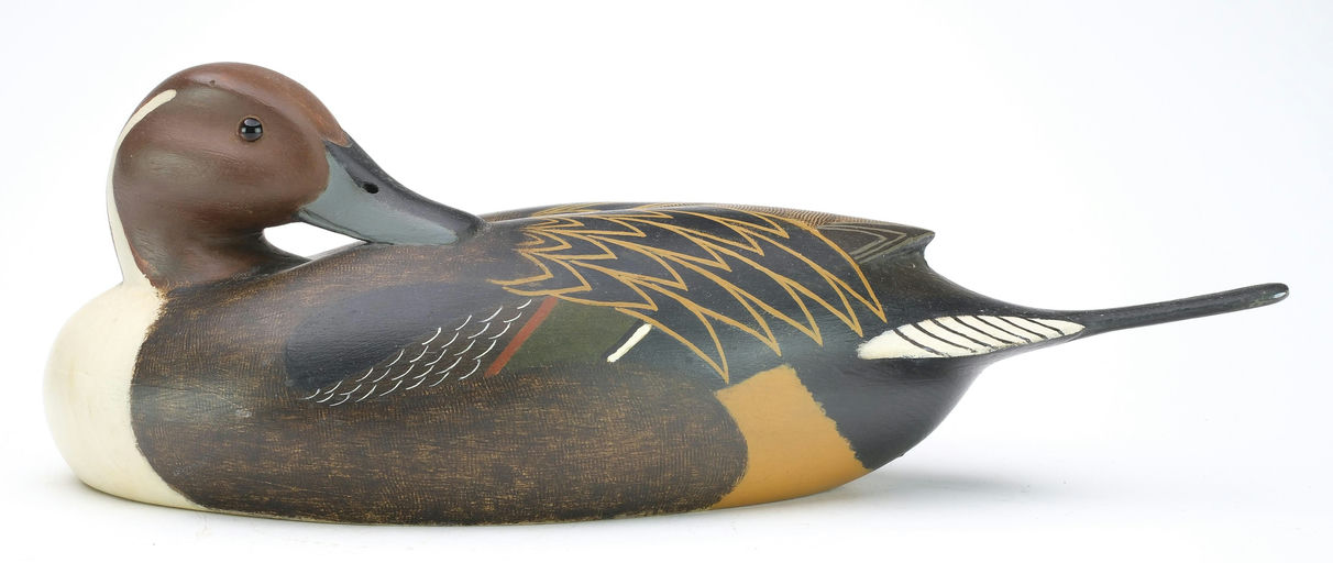 John McLoughlin – Pintail – 2024