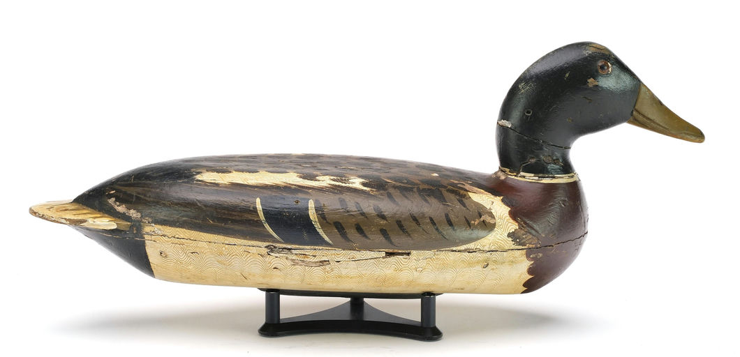 Robert Elliston – Mallard Drake – 2024