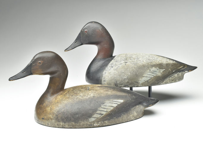 Ivar Fernlund – Canvasback – 2023