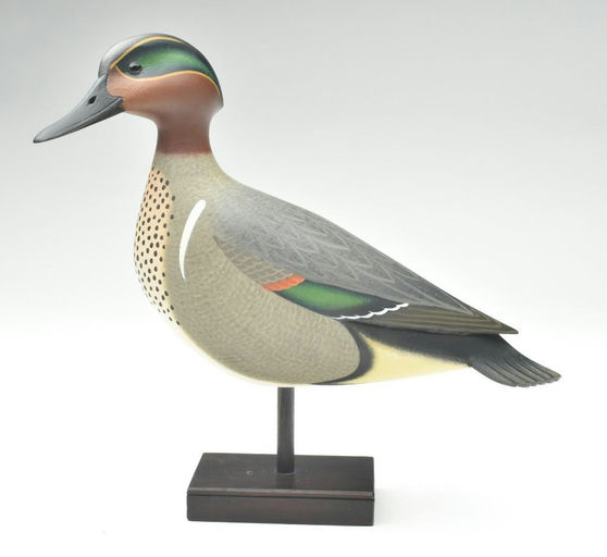Rick Brown – Green-winged Teal – 2023