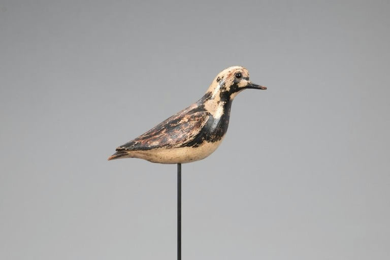 Charles Sumner Bunn – The Kinnaman Running Turnstone – 2021
