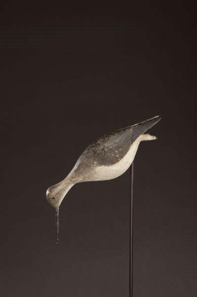Elisha Burr Jr. – Feeding Yellowlegs – 2011