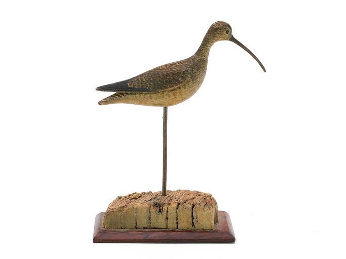 Mark McNair – Miniature Curlew – 2025