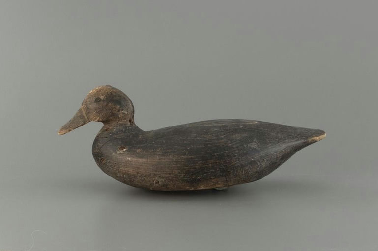 Ben Rhodes – Black Duck – 2025