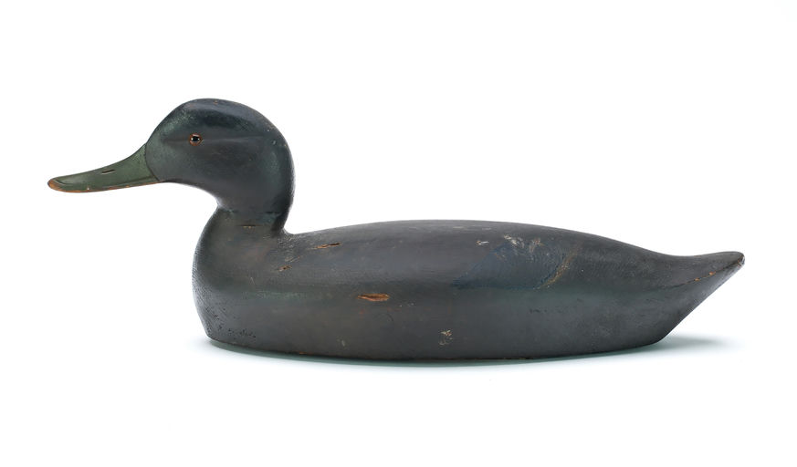 Chauncey Wheeler – Black Duck – 2025