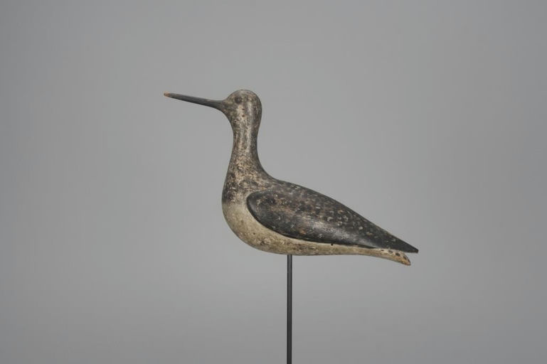 Lothrop Holmes – Rare Yellowlegs – 2018
