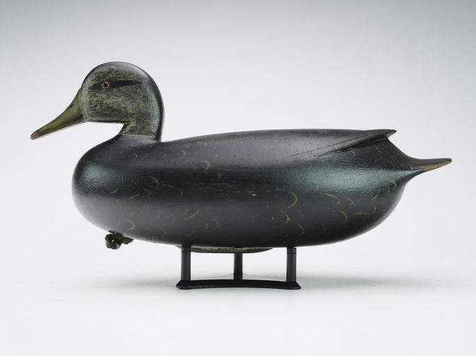 William Quinn – Black Duck – 2024
