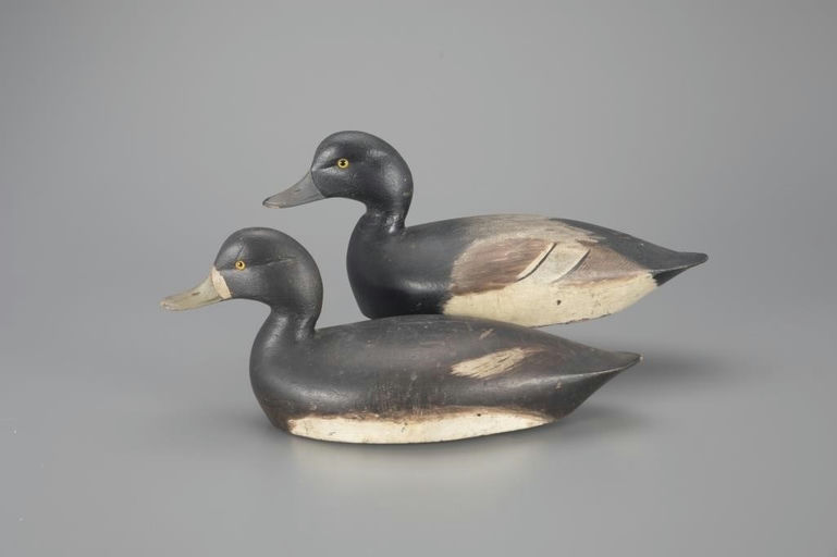 Chauncey Wheeler – Rigmate Bluebill Pair – 2024