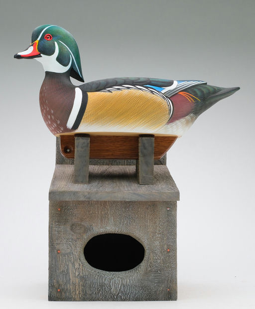 Tom Matus – Wood Duck – 2024