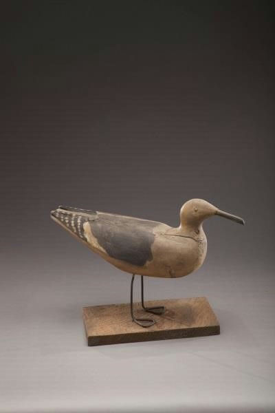 Gus Wilson – Gull – 2012