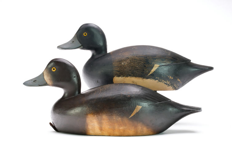 David W. Nichol – Scaup – 2025