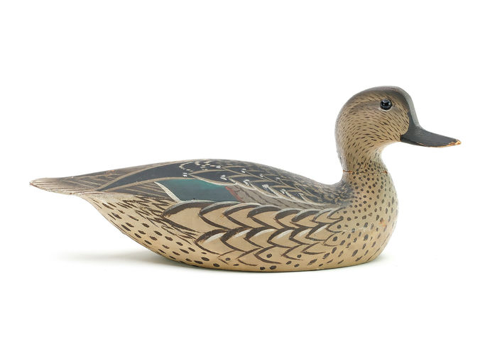 Ward Brothers – Greenwing teal – 2025