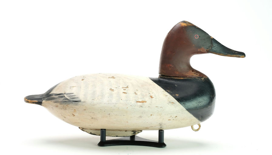 William Heverin – Canvasback – 2025