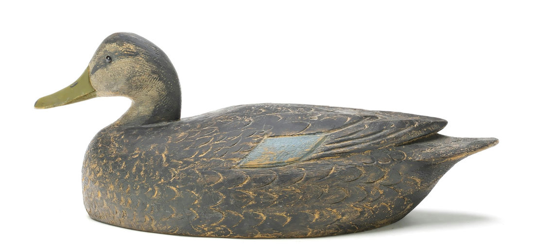 Ben Schmidt – Black Duck – 2025