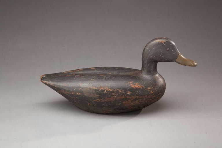 James Look – Black Duck – 2012