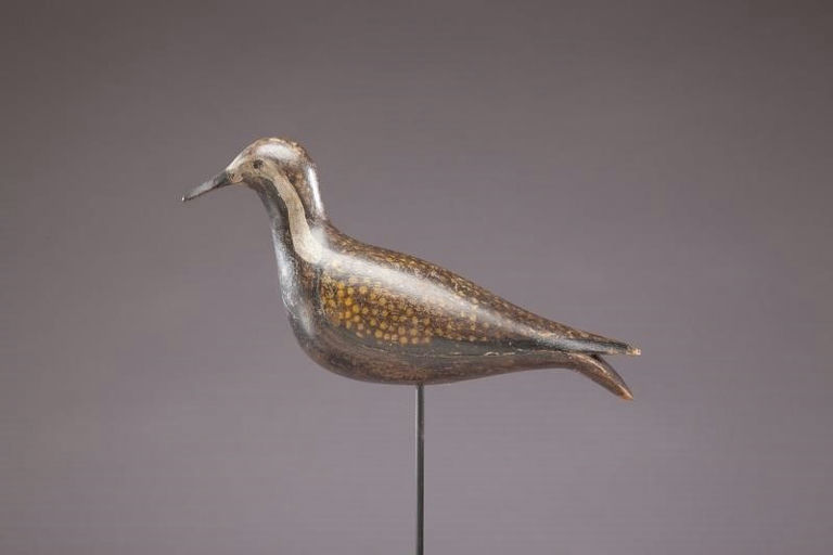 William Folger – Golden Plover – 2013