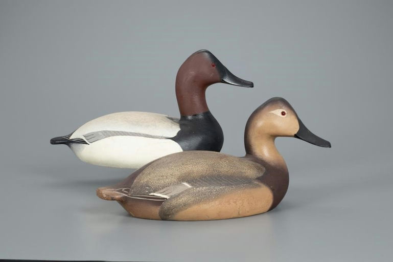 Norris Pratt – "Mammoth" Canvasback Pair – 2020