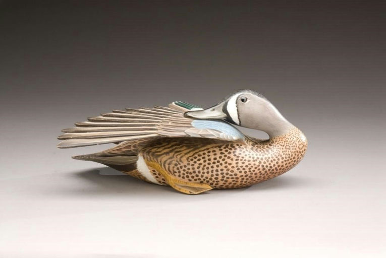 Arnold T. Melbye – Preening Blue-Winged Teal Drake – 2009