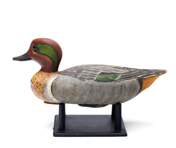 Davison B. Hawthorne – Green-winged Teal – 2026