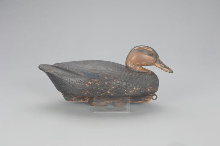 Leo Pashpatel – Black Duck – 2021