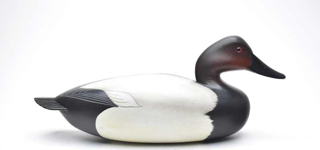 George Strunk – Canvasback – 2026