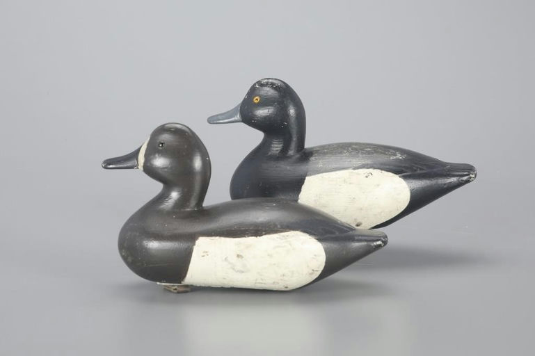 Harry L. Cook – Bluebill Pair – 2023
