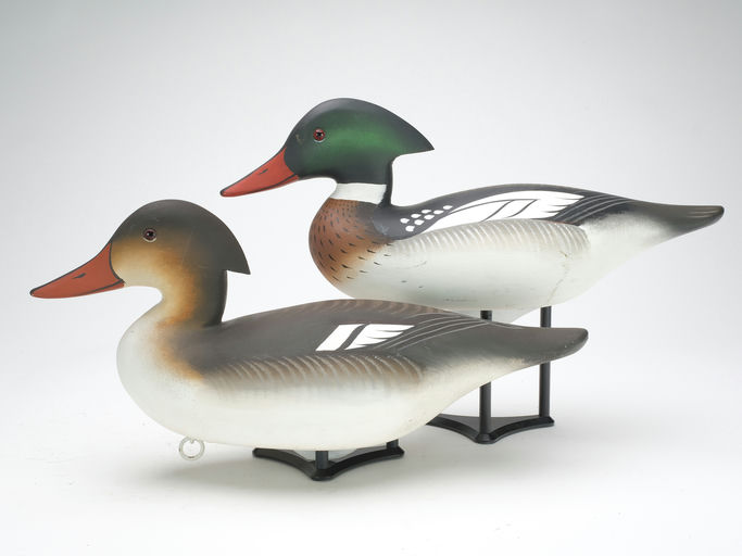 Charlie Joiner – Pair of Merganser – 2023