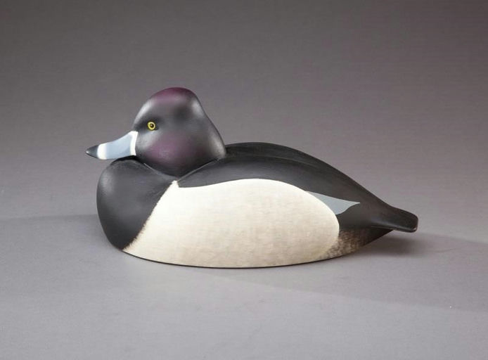 William Schultz – Ring-necked Drake – 2013