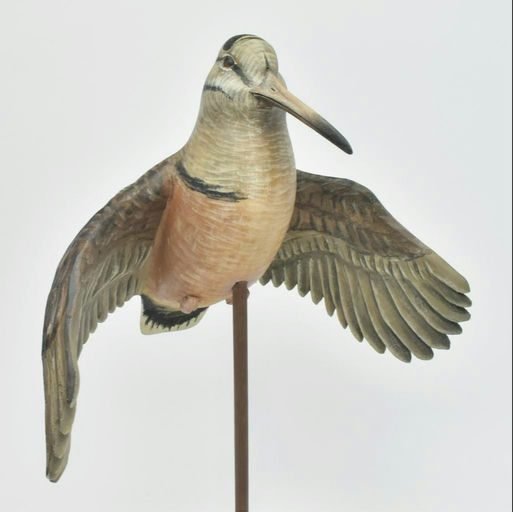 Mike Borrett – Woodcock – 2023