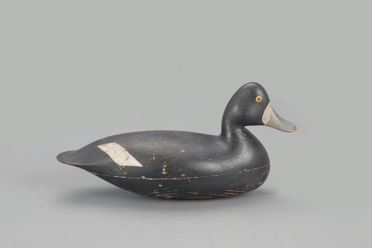 Harry Mitchell Shourds – Broadbill Hen – 2022