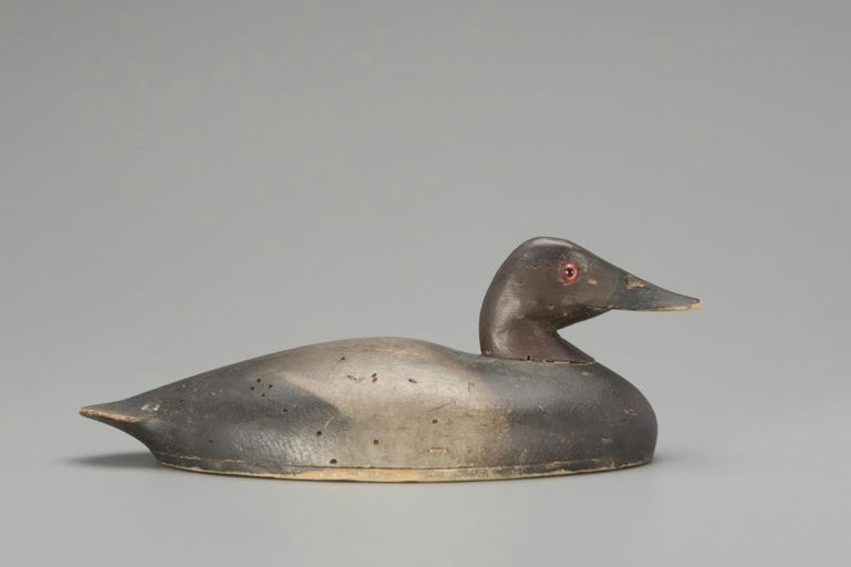 Phineas Reeves – Canvasback – 2018